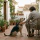 Adopted mixed-breed dog sitting with its new owner on a sunny terrace in Andalucía