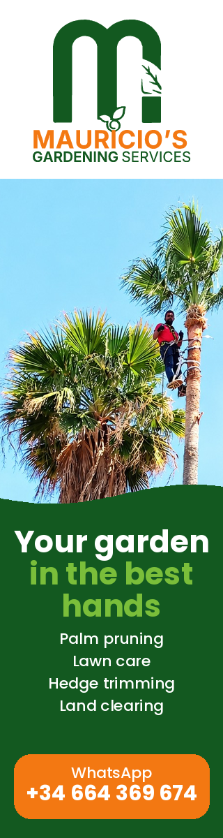 Mauricio’s Gardening Services – palm and tree pruning on the Costa del Sol