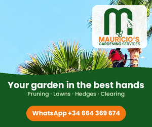 Mauricio’s Gardening Services – palm and tree pruning on the Costa del Sol