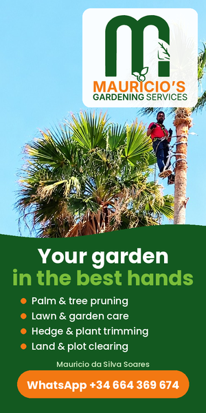 Mauricio’s Gardening Services – palm and tree pruning on the Costa del Sol