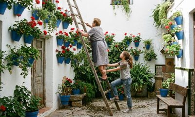 Grandmother and teenage granddaughter watering potted geraniums in a whitewashed Córdoba patio in May